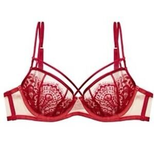Dita Von Teese Red Lace Bra sz 32DD Sheer Maestra Red Non Pad Underwire Bra